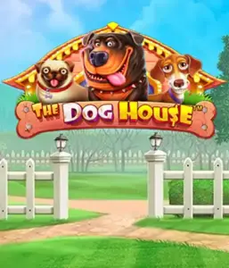 Experience Pragmatic Play's The Dog House adventure, featuring a fun-filled journey through lovable dogs. Engage in gameplay elements including free spins, perfect for providing joyful moments. Perfect for animal enthusiasts a lighthearted theme alongside lucrative rewards.